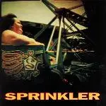 Sprinkler - More Boy, Less Friend