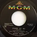 7inch Vinyl Single - Spyder Turner - Stand By Me
