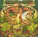 7'' - Spyro Gyra - Morning Dance