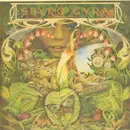 LP - Spyro Gyra - Morning Dance