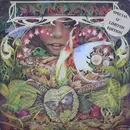 12'' - Spyro Gyra - Morning Dance
