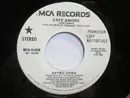 7inch Vinyl Single - Spyro Gyra - Cafe Amore