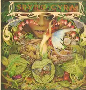 Spyro Gyra - Morning Dance