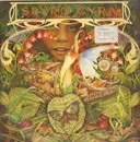LP - Spyro Gyra - Morning Dance