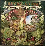 LP - Spyro Gyra - Morning Dance