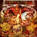 7inch Vinyl Single - Spyro Gyra - Morning Dance
