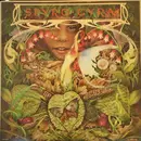 LP - Spyro Gyra - Morning Dance - MCA Rainbow Labels