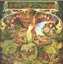 LP - Spyro Gyra - Morning Dance