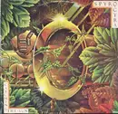LP - Spyro Gyra - Catching The Sun