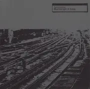 Double LP - Squarepusher - Burningn'n Tree