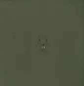 SQURL - Ep2