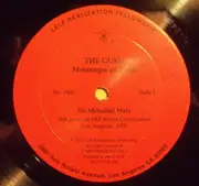 Double LP - Sri Mrinalini Mata - The Guru - Messenger Of Truth