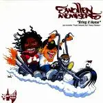 Swollen Members - Bring It Home / Freak Fantastic / Heavy Thinkers