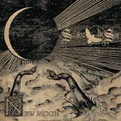 swallow the sun - New Moon