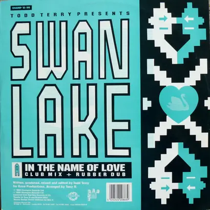 Swan Lake - In The Name Of Love / The Dream