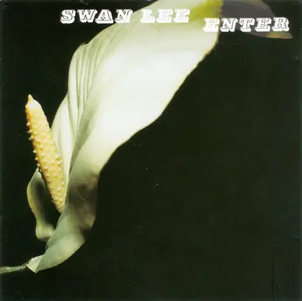 Swan Lee - Enter