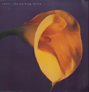 LP - Swans - The Burning World