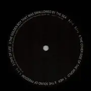 12inch Vinyl Single-Box - Swans - Love Of Life - hardcover box