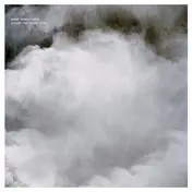 Swarm Intelligence - Against The Dying Light