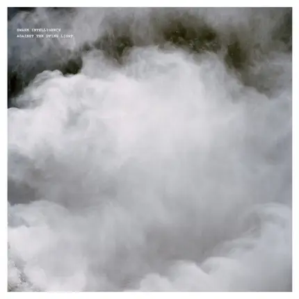 Swarm Intelligence - Against The Dying Light