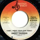7inch Vinyl Single - Sweet Thunder - Baby, I Need Your Love Today