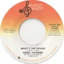 7inch Vinyl Single - Sweet Thunder - I Leave You Stronger