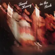 LP - Sweet Honey In The Rock - Sweet Honey In The Rock