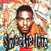 sweetie irie - D.J. Of The Future