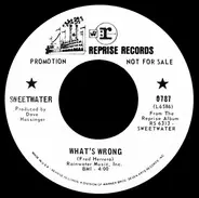 Sweetwater - What's Wrong / My Crystal Spider