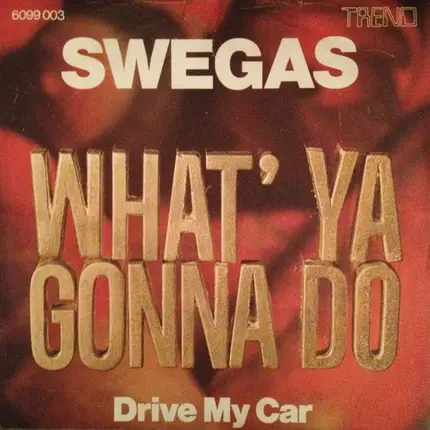 Swegas - What'Ya Gonna Do / Drive My Car