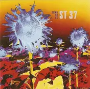 ST 37 - Down on Us