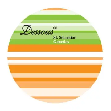 St. Sebastian - Genetics