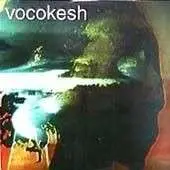 ST 37/VOCOKESH - SPLIT