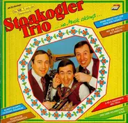 Stoakogler Trio - Wo Musik Erklingt