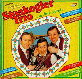 Stoakogler Trio - Wo Musik Erklingt