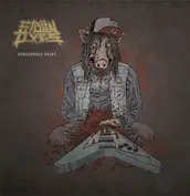 Togue Sol Distribución