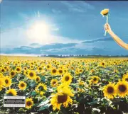 CD & DVD - Stone Temple Pilots - Thank You - The Best Of Stone Temple Pilots - Digipak