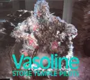 CD Single - Stone Temple Pilots - Vasoline