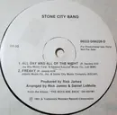 12inch Vinyl Single - Stone City Band - All Day And All Of The Night - Promo