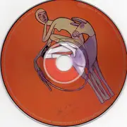 CD - Stone Gossard - Bayleaf