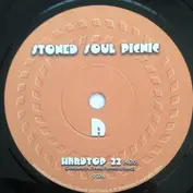 Stoned Soul Picnic