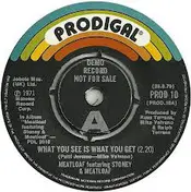Stoney & Meatloaf - What You See Is What You Get / The Way You Do The Things You Do