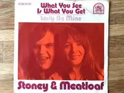 7inch Vinyl Single - Stoney & Meatloaf - What You See Is What You Get / Lady Be Mine