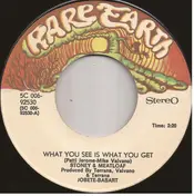 Stoney & Meatloaf - What You See Is What You Get