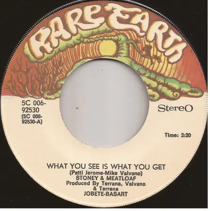 Stoney & Meatloaf - What You See Is What You Get