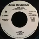 7inch Vinyl Single - Storm - I Want You