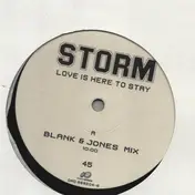 The Storm - Love Is Here To Stay