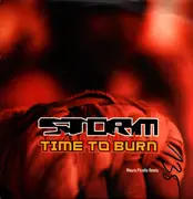 12inch Vinyl Single - Storm - Time To Burn