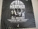 7inch Vinyl Single - Stormy Weather - Middle Class Educated Blues