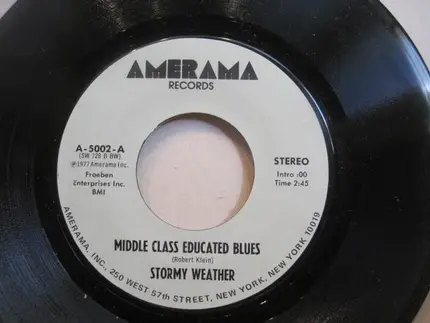 Stormy Weather - Middle Class Educated Blues